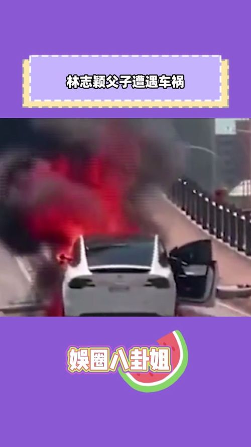 林志穎父子遭遇車(chē)禍 滿臉血經(jīng)紀(jì)人都認(rèn)不出,車(chē)輛直接被撞報(bào)廢