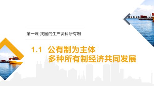 公有制為主體 多種所有制經(jīng)濟(jì)共同發(fā)展