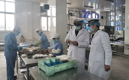 強化線上服務，鎮海海關護航食品農產品出口