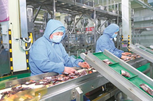 沖刺年度目標，助力企業產銷兩旺 社會經濟咨詢服務的核心價值